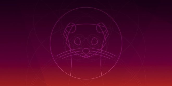 Ubuntu 19.10.1: ecco l’edizione per Raspberry Pi! 1 ubuntu 19 10